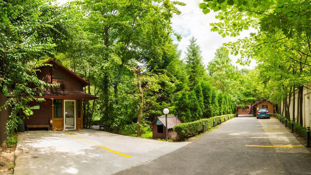 Pensiunea Casa Verde Bucuresti Екстер'єр фото