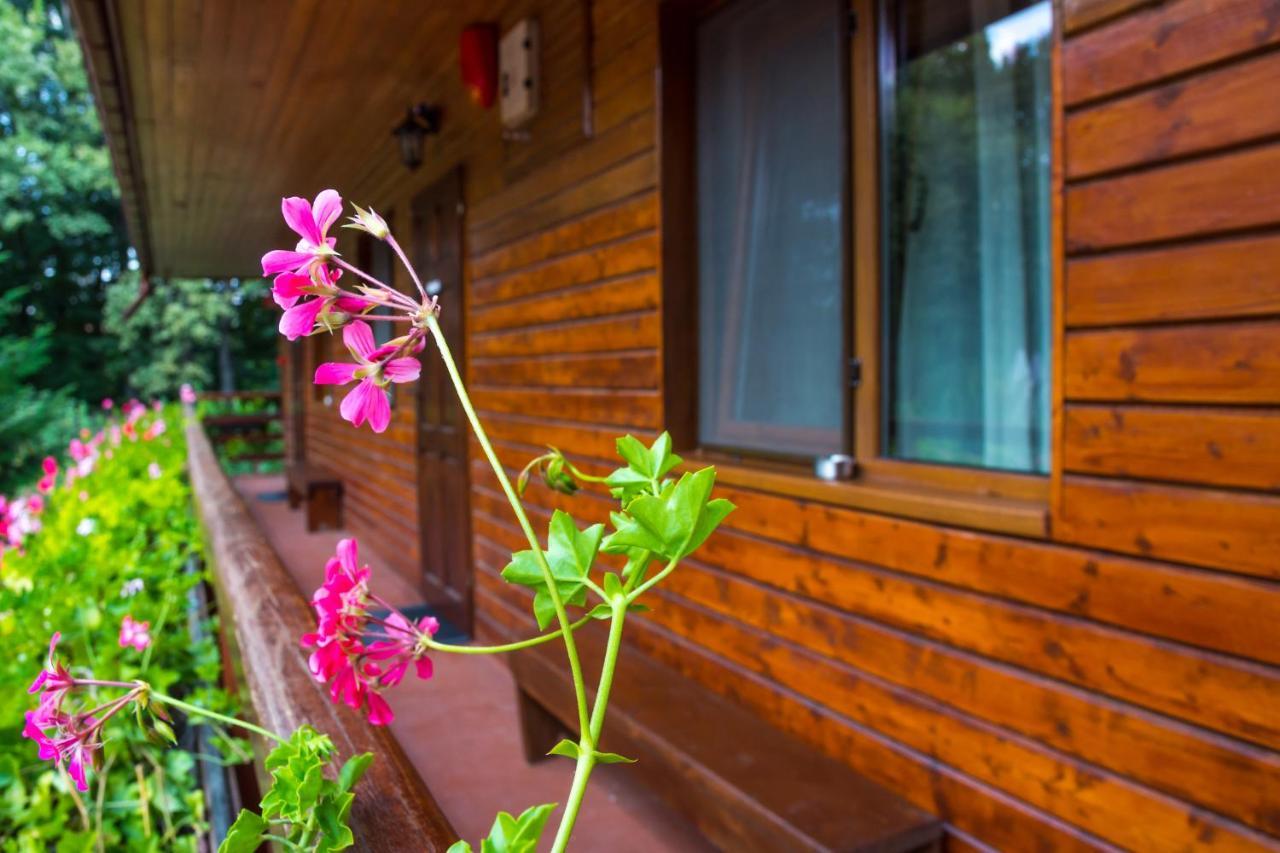 Pensiunea Casa Verde Bucuresti Екстер'єр фото